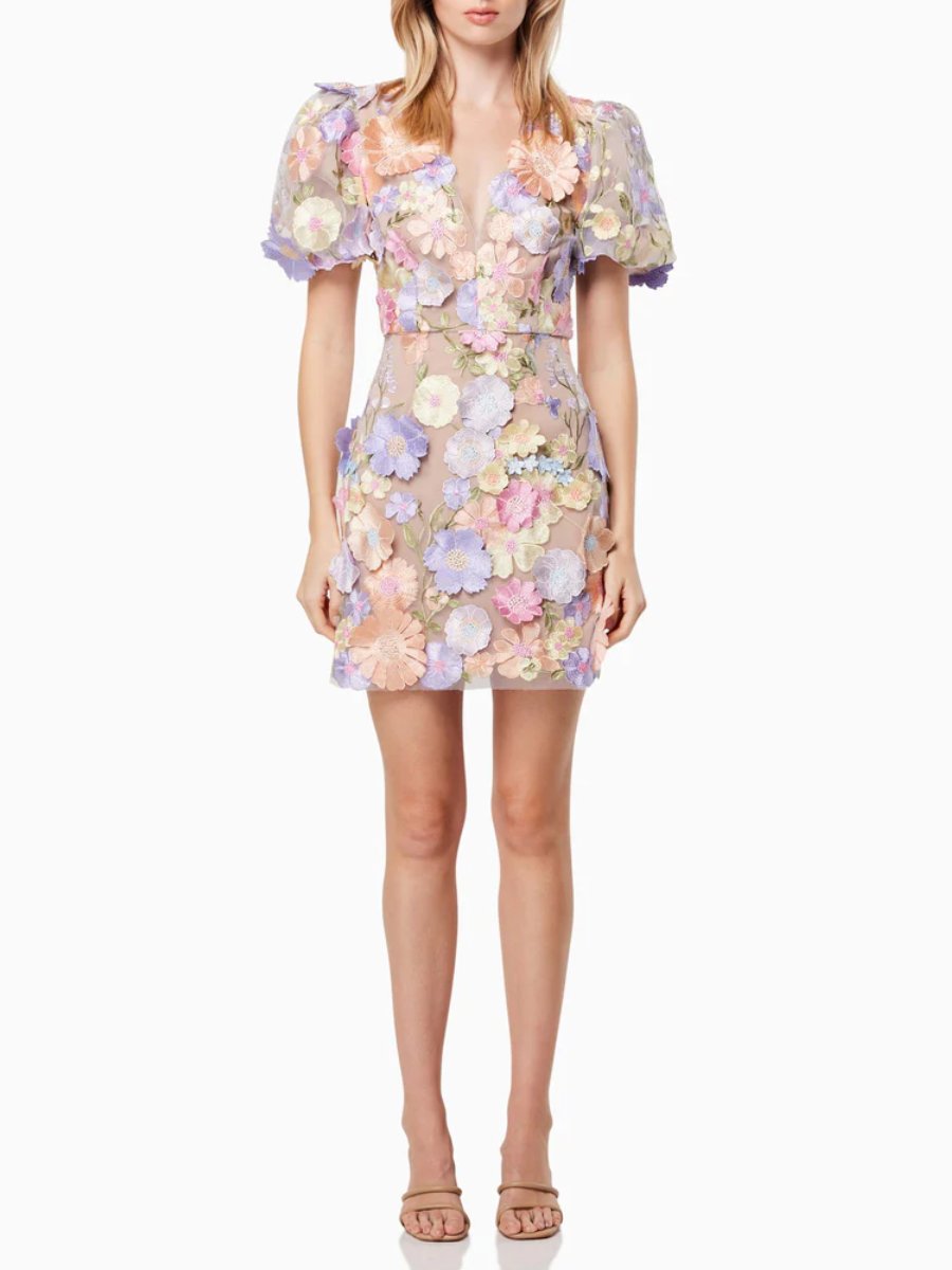 3D Floral Lace Mini Dress
