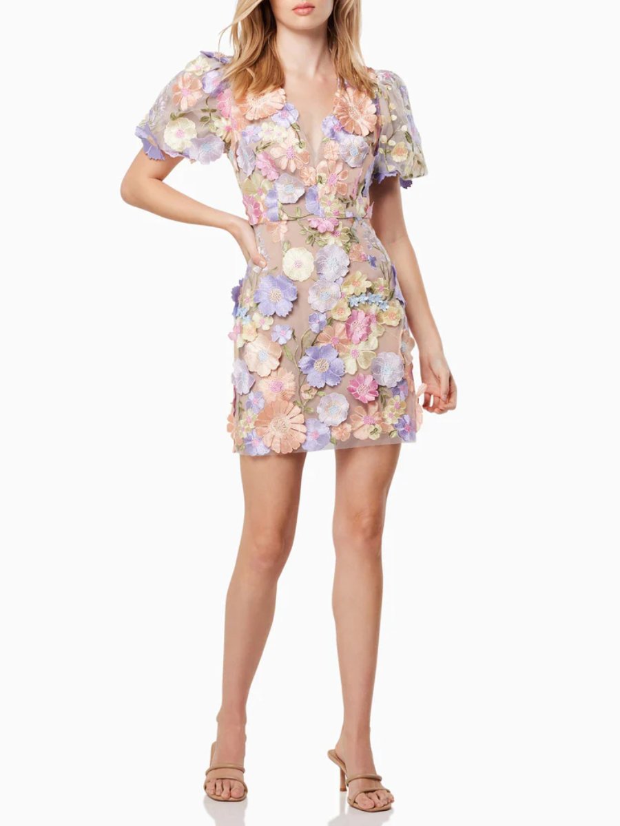 3D Floral Lace Mini Dress