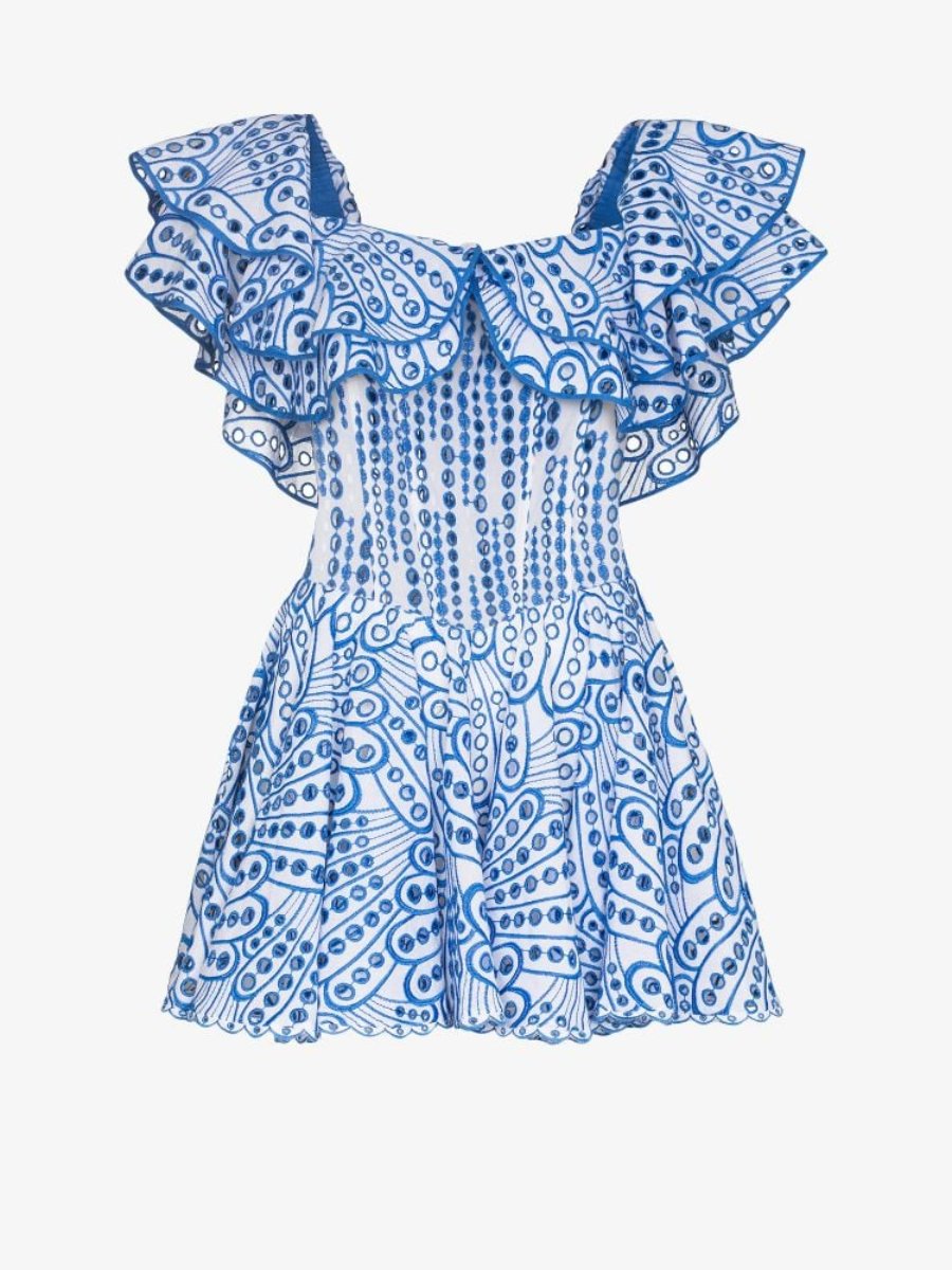 Embroidery Ruffled Mini Dress