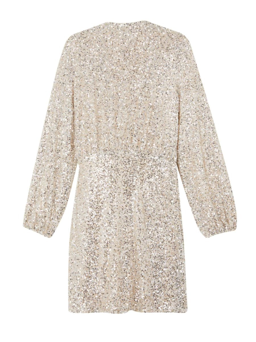 Silver Sequin Wrap Mini Dress